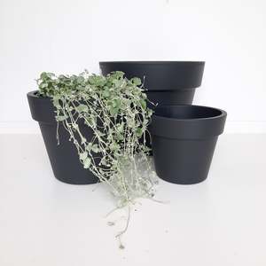 Pots And Planters: Elho Top Planters