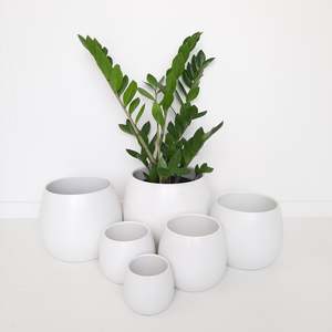 Pots And Planters: Ceramic Egg Cover Pots - White