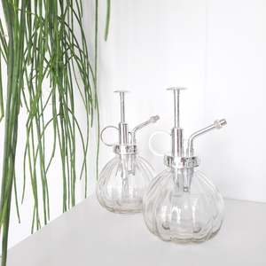 Care Gifts Accessories: Mister - Clear Glass