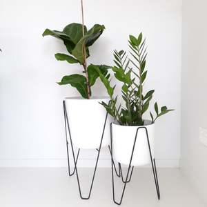 Plant Stands - Elho