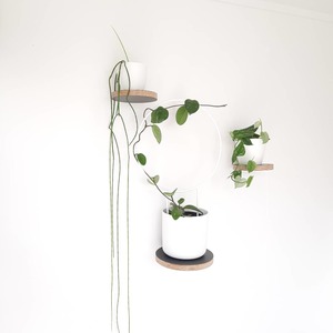 Care Gifts Accessories: Round Floating Shelves