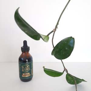 Care Gifts Accessories: Plant Runner - Indoor Plant Food