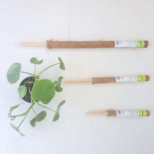Gift Vouchers: Support Pole - Coco Fibre