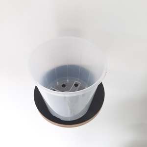 Gift Vouchers: Growpots - Clear 15cm
