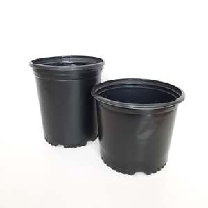 Gift Vouchers: Growpots - Large Round Pressureformed