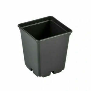 Gift Vouchers: Growpots - Small Propagation Pots