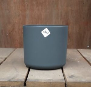 Products: Plants Online - PlantMail by Garden Central - Auckland New Zealand