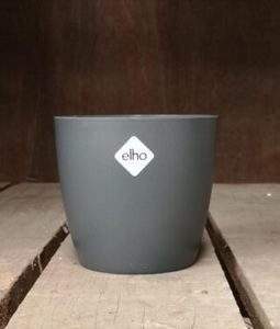 Cover Pots