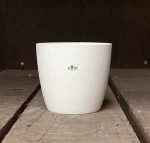 Cover Pots
