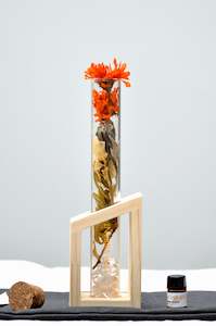 Whats New: I AM VIBRANT - BOTANICAL SCENT DIFFUSER