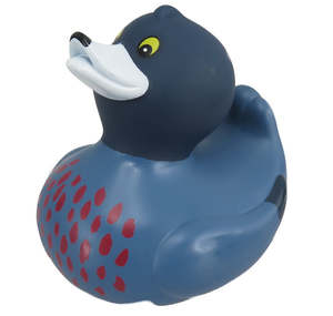 Water: Whio Whio Bath Duck - Antics