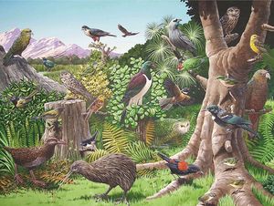 Puzzles: Birds of New Zealand Puzzle - Southern Skies