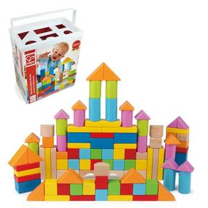 Beech Wooden blocks with Sorter 100pc - Hape