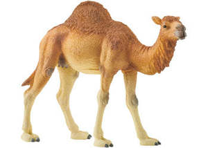 Camel Dromedary - Schleich