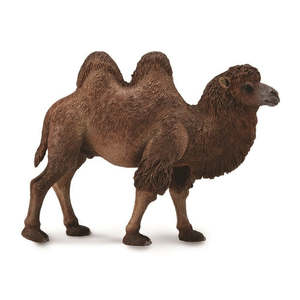 Figures Wild Animals: Bactrian Camel - CollectA
