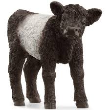 Figures Farmyard: Calf Galloway - Schleich