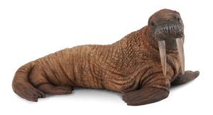 Figures Sea Creatures: Walrus - Collecta