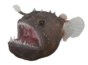 Figures Sea Creatures: Anglerfish - Collecta