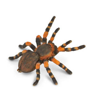 Tarantula Spider - Collecta