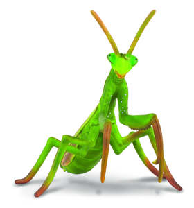 Praying Mantis - CollectA
