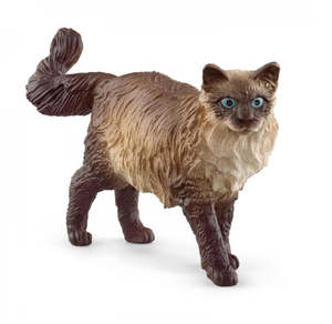 Figures Pets: Ragdoll Cat - Schleich