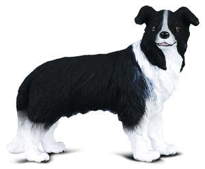 Border Collie - CollectA