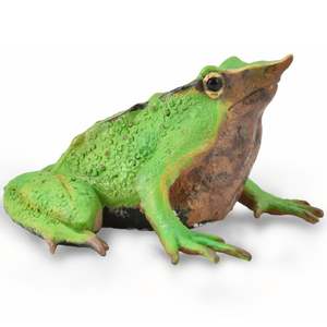 Darwin's Frog - Collecta
