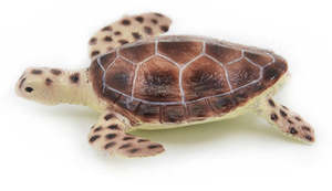 Figures Reptiles: Green Turtle