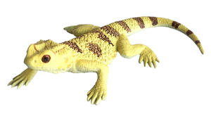 Figures Reptiles: Bearded Dragon - small