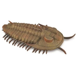 Figures Prehistoric: Redlichia Rex Trilobite - Collecta