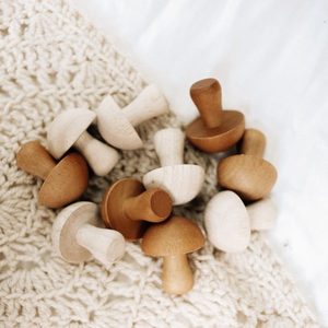 Wooden Mushrooms 10pc - Qtoys