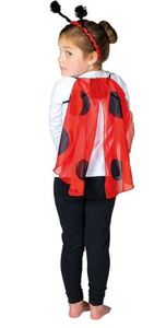 Ladybird Headgear and Wings - Gollygo