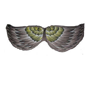 Animal Dressups: Bird wings - Kakapo - Gollygo