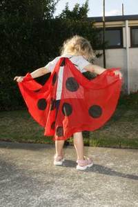 Animal Dressups: Ladybird Wings - Gollygo