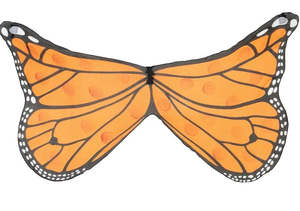 Butterfly wings print Monarch - Gollygo
