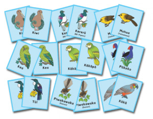 Birds of Aotearoa Memory Game - Teacher Talk
