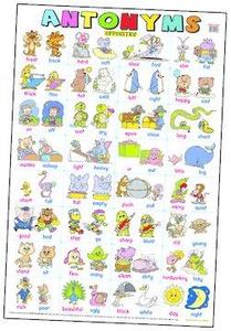 Posters Placemats: EC Antonyms Poster