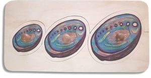 Three Paua Seriation 3pc puzzle with knobs - Kiwi Made Toys