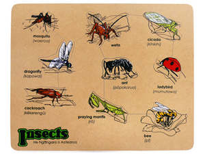 New Zealand Insect Puzzle