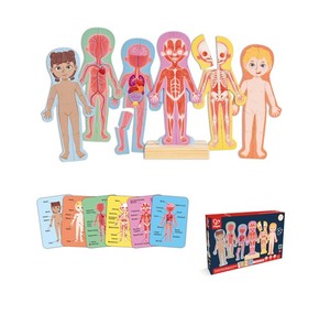 Play Extensions Manipulative Materials: Human Body Magnetic Puzzle - Hape