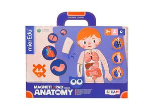 Magnetic Stories Sets: Magnetic Pad Human Anatomy - MierEdu