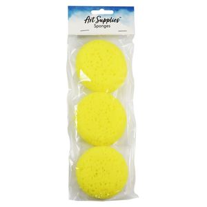 Sponges 3pc Set