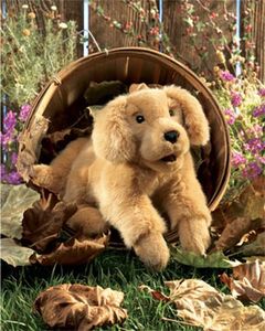 Dog - Golden Retriever Puppy - Folkmanis