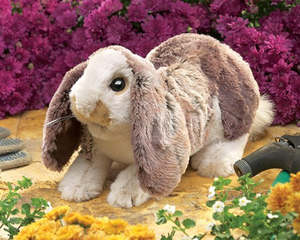 General Hand: Rabbit Baby Lop Hand Puppet- Folkmanis