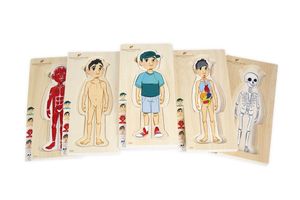 Sequencing: Boy 5 Layer Body Puzzle - Discoveroo