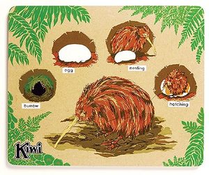 Sequencing: Kiwi Life Cycle Wooden Flat puzzle