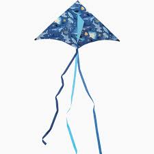 Exploratory Science: Crocodile Creek Kite Shark Reef