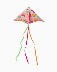 Exploratory Science: Crocodile Creek Kite Butterfly