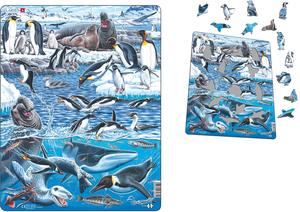 Antarctica Puzzle 66pc - Larsen