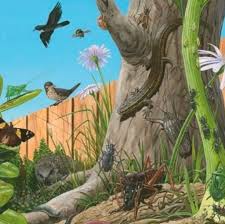 Insects of New Zealand (1) Puzzle - Southern Skies